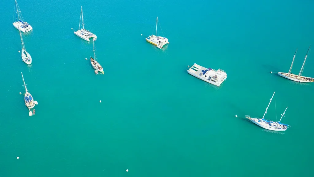 visuel principal sur Voilier ou catamaran croisiere