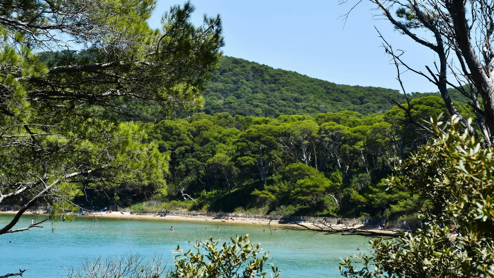 Voilier dans les eaux claires entre Porquerolles et Port-Cros