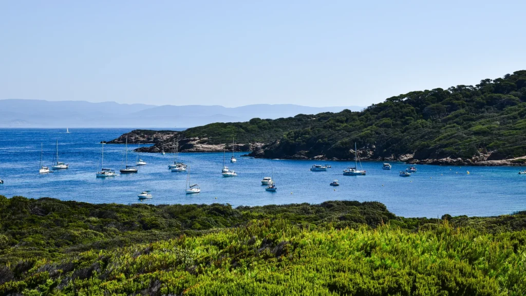 visuel principal sur Vie a bord premiere croisiere